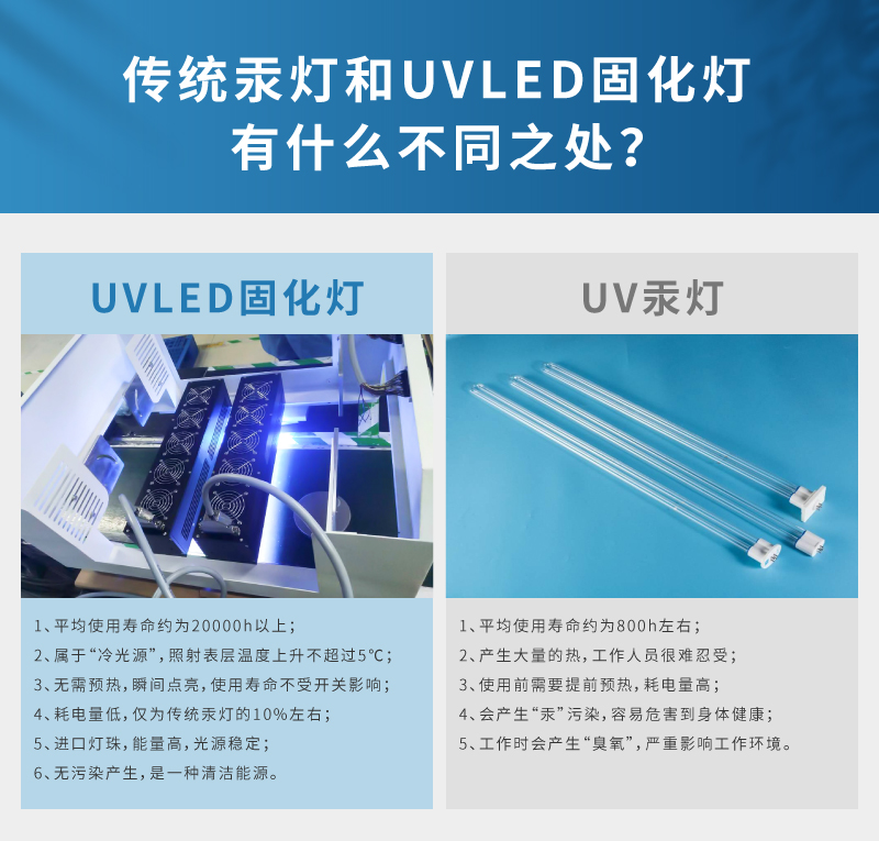 亚洲中文字幕在线第六区